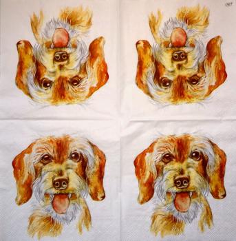 HUN-021 Dogs - 3-ply - Ihr - CS
